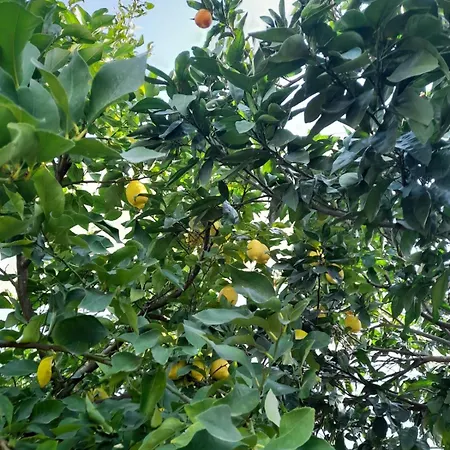 Besart 公寓 培拉特