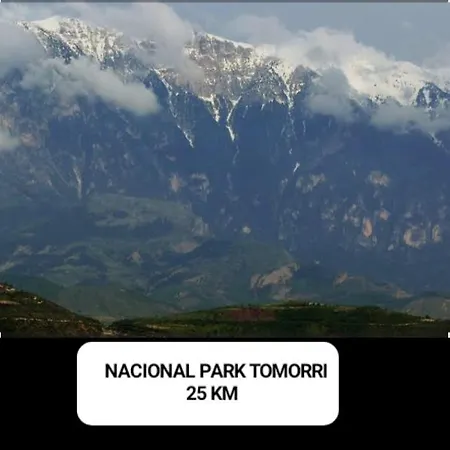 Apartament Besart Berat